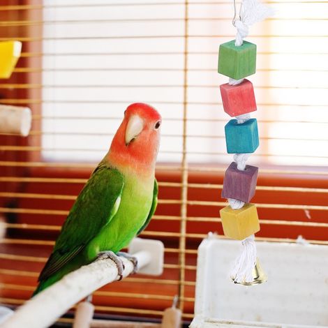 Lot de 6 balançoires suspendues pour perroquets, avec clochette Sepaktakraw et pendentif en bois, jouet à mâcher et à mordiller, accessoire pour cage d'animal de compagnie (1/5)