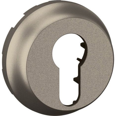 Enjoliveur pour interrupteur à clé - 2 positions - Céliane 2024 - CT0071 - Legrand - Titanium (1/2)