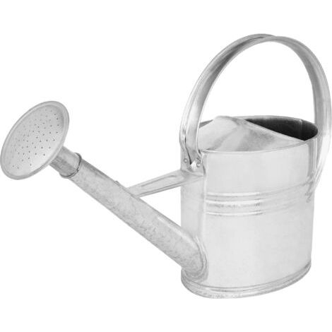Arrosoir Plante Interieur - 10 L - Arrosoir Jardin - avec Pomme Amovible - Argenté - pour Terrasse - Balcon-NANOTEH (1/5)