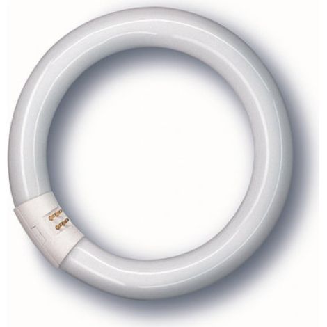 NEON FLUORESCENTE LUMILUX Circolare G10q-Luce fredda 40W-3200 lumen-cm.41 (1/6)