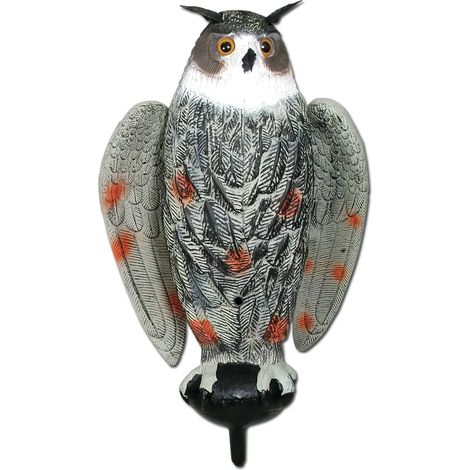Appelant grand duc à ailes battantes (1/5)