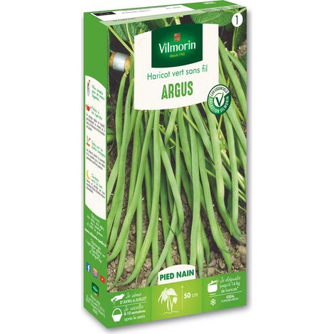 Haricot Nain Vert Argus Vilmorin (1/2)