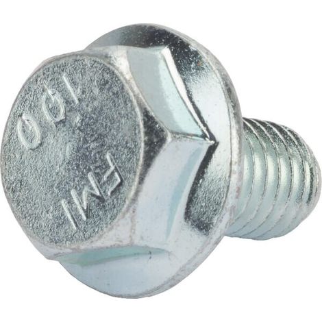 Tornillo AGRIA AGW67618