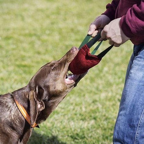 Jouet à mâcher pour chien, modèle K9, avec deux poignées, rond, 40 cm (1/4)