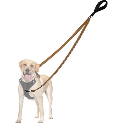 No Pull Anti-Pull Dog Lead, No Tangle Double Lead for Anti-Pull Harness, Reflective Dog Lead for Training and Walking for Large Medium Dogs (Brown) (1/5)