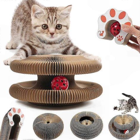 Faltbare Katzenkratzmatte, interaktive Matte und Kratzbrett für Kätzchen, lustiges und juckreizlinderndes Spielzeug (1/5)