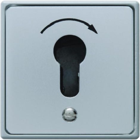Berker Interruptor Key modelo activado por llave gris