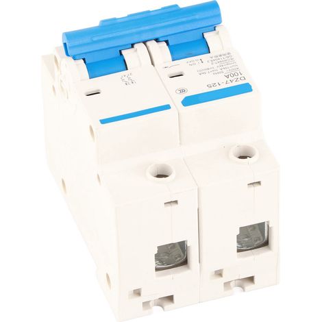 DZ47-125 2P 400V 100A Modularer Leitungsschutzschalter mit Fehlerstromschutz 80/125A (1/5)