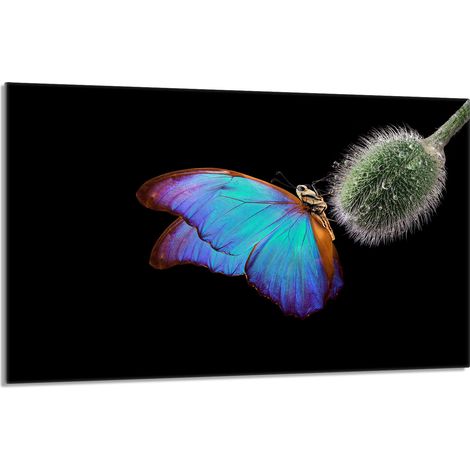 Glasschutzplatte für den Herd 80x52 Butterfly (1/5)