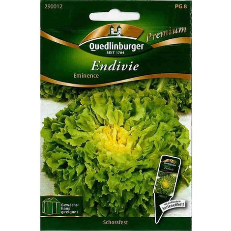 Quedlinburger Endivie Eminence - Gemüsesamen (1/2)
