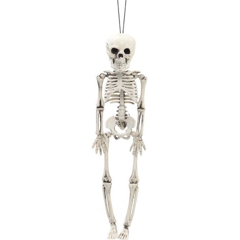 White Realistic Posable Hanging Skeleton for Halloween (1/5)