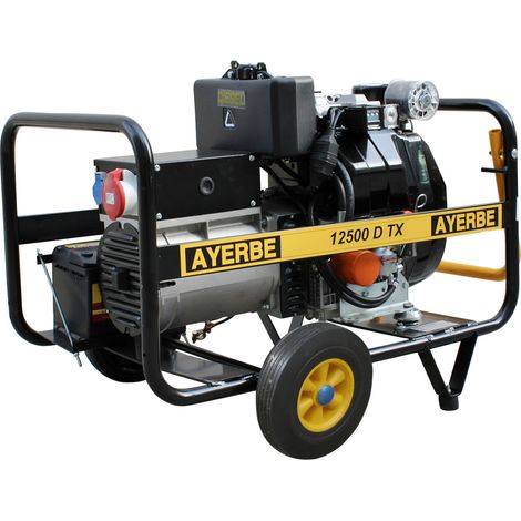 AYERBE - 5418470 - Groupe électrogène 12500 Diesel TX