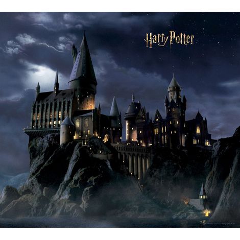 papier peint panoramique Harry Potter Poudlard noir et bleu foncé  - Sanders & Sanders (1/3)