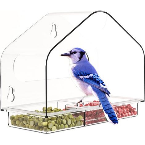 Fenster Vogelfutterhaus Transparentes Acryl Fenster Vogelfutterhaus Eichhörnchensicheres Vogelfutterhaus für den Außenbereich Leicht zu reinigen (1/5)