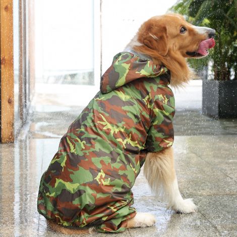 Imperméable pour chien, léger et étanche, avec capuche et poncho, accessoire pour animaux de compagnie pour les promenades en extérieur. (1/5)