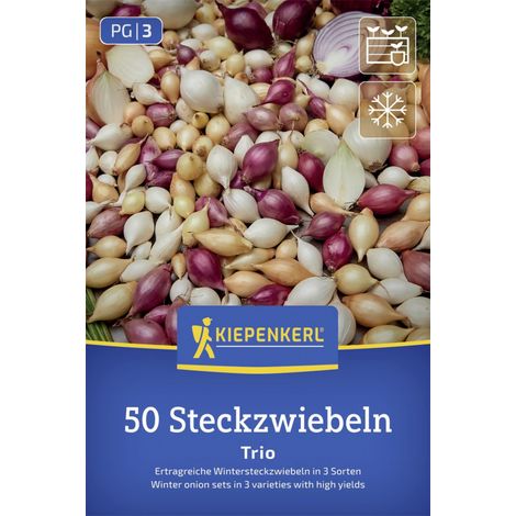 Kiepenkerl Wintersteckzwiebel Trio-Mix 50 Stück Zwiebeln (1/2)