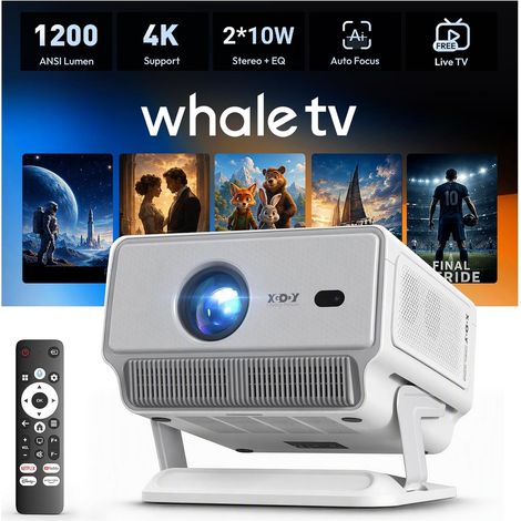 Videoprojecteur 1200 ANSI, 1080P Natif, Compatible Netflix et 4K (1/5)