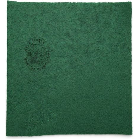 Alfombrilla de fondo para terrario verde 100 x 50 cm (1/5)