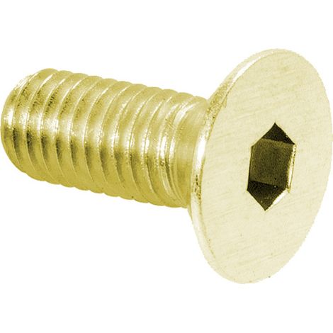 VIS POUR PENTURE FINITION LAITON - STREMLER - S171.00.3 STREMLER ASSA ABLOY