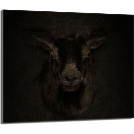 Plaque de protection en verre pour poêle 60x52 Koza (1/5)