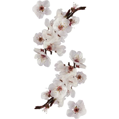 Sticker photographic blossom Crearreda adesivo murale frasi famose 15x31 cm (1/2)
