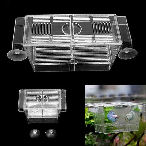 Boîte d'élevage de poissons, incubateur d'aquarium pour alevins de poissons et crevettes - L- (1/4)