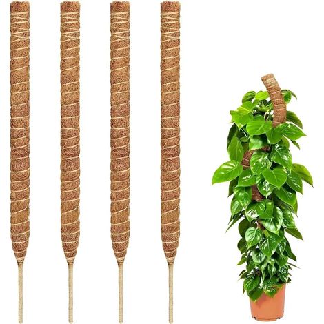 Ensemble de 4 supports pour plantes tuteur flexible (1/5)