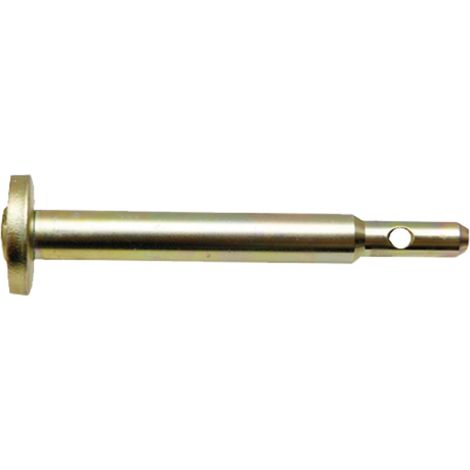 Perno di sollevamento 22x185mm per FENDT FARMER FAVORIT H380922070030