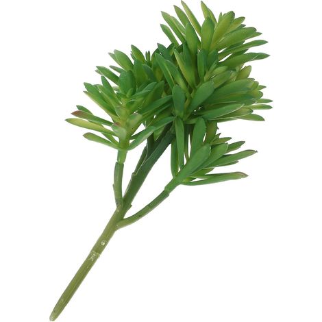 Plante Grasse Artificielle Verte en Plastique Apparence Réaliste, Décoration pour Table de Salle à Manger ou Espace Comptoir, Présent de Pendaison de Crémaillère (1/5)