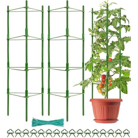 2 cages à tomates, 160 cm, tuteurs réglables pour plantes grimpantes, légumes, fleurs, fruits, vignes - avec 60 attaches torsadées, 20 clips de jardin