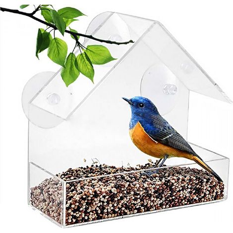 Mangeoire à oiseaux en plastique transparent avec ventouses puissantes pour jardin extérieur (1/5)