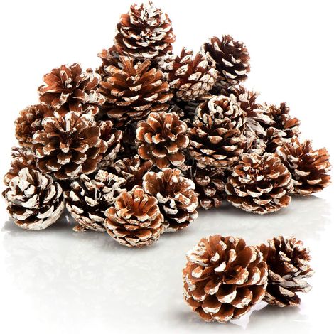 30x Pommes de pin Dentelle Blanche, Pommes de pin (1/5)