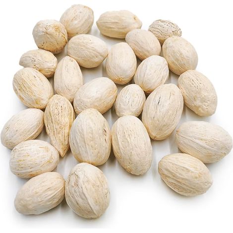 Amra-Schoten (gebleicht) – exotische getrocknete Kräuter – 100 g (1/2)