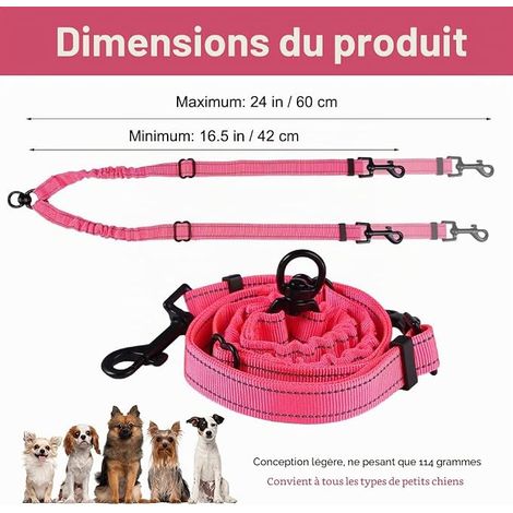 Rose Laisse Double Chien Petit, Double Laisse pour 2 Chiens (1/4)