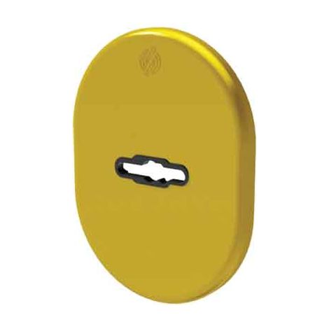 5,0 x MOSTRINA PORTA BLINDATA 4301 SECUREMME