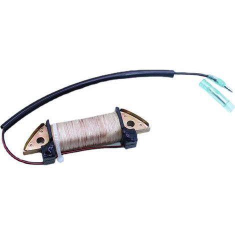 Bobina de encendido y carga para motor fueraborda Tohatsu de dos tiempos y 5 caballos de fuerza, compatible con la referencia 369-06021-0. (1/5)