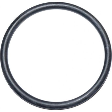 Joint torique de 90 mm de diamètre pour traversée de paroi de filtre piscine Ardeche