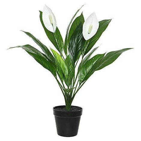 Pianta artificiale spathiphyllum