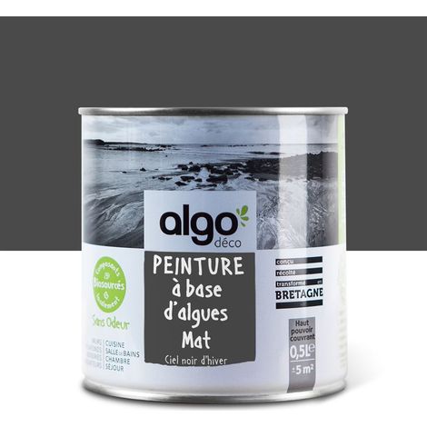 Peinture écologique Algo - Mat - Ciel noir d'hiver - 0.5L (1/5)