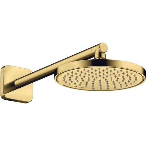 hansgrohe AXOR ShowerSolutions ducha 220, 1 tipo de chorro,