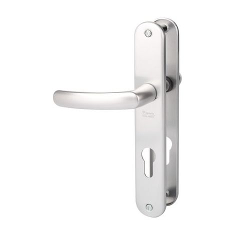 Poignée de porte d'entrée - Budget - Vachette - Gris argent - Clé I - 195 mm