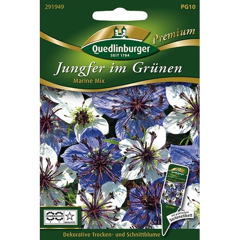 Quedlinburger Jungfer im Grünen Marine Mix - Blumensamen