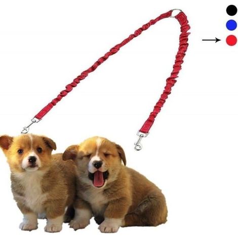 Laisse rétractable double pour deux chiens - rouge (1/4)