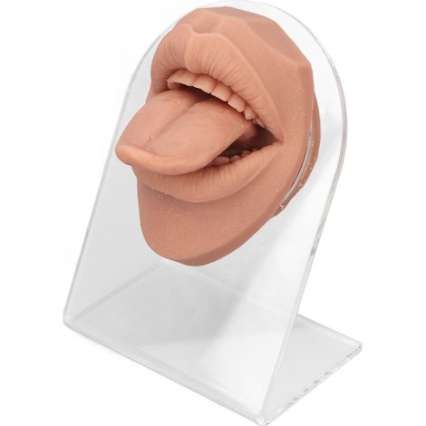 Modèle de Langue Humaine Réaliste en Silicone Souple avec Support Acrylique pour Bijoux - Version Chair Claire (1/5)