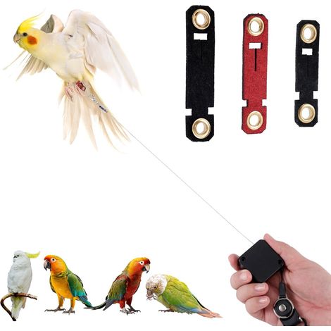 Harnais laisse rétractable pour oiseau, corde de vol sûre et anti-morsure pour perroquet (1/5)