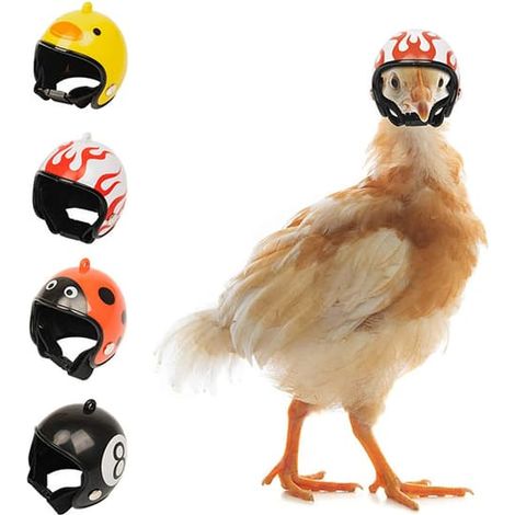 Mini casque de protection pour poules et oiseaux, joli casque décoratif avec sangle de fixation, protège la tête des chocs, disponible en plusieurs motifs. (1/3)