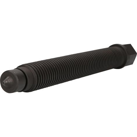 Alberino, 285 mm lunga (1/4)