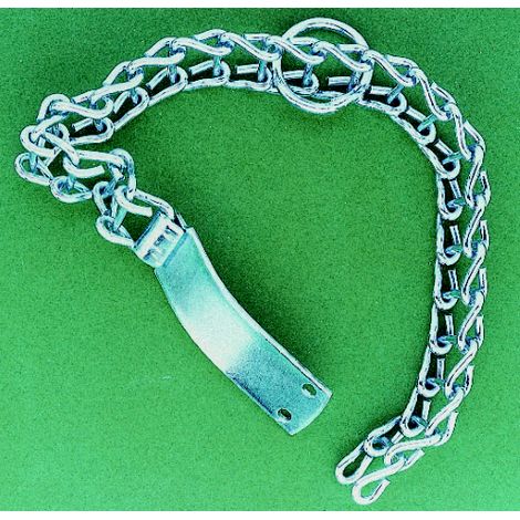 collier A chelle en acier pour chien chiens de type moyen 35 cm articles animaux
