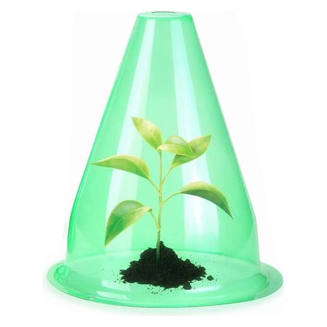 BUNTHAUS Lot de 36 chapeaux de plantes Couvercle transparent pour plantes à salade Protection contre les oiseaux, le gel ou les intempéries Protège les plantes contre les aliments pour animaux, vert (1/5)