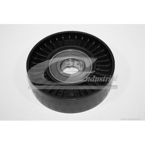 3RG 13411 RODILLO TENSOR